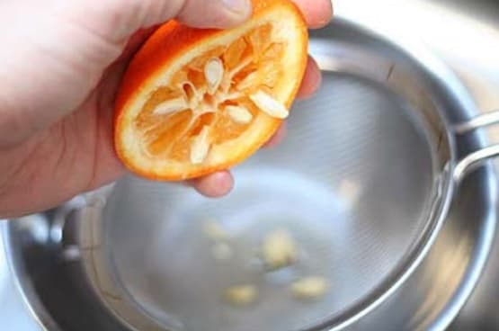 podgotovka semyan apelsina k posadke