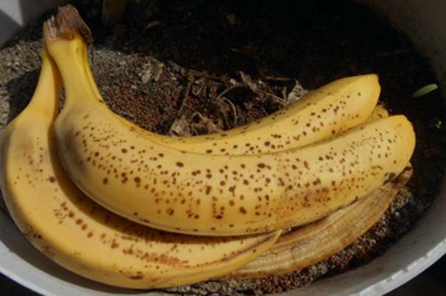 Бананы на земле