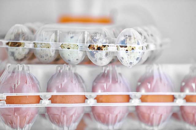 Перепелиные яйца в холодильнике