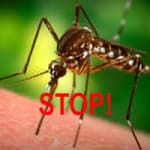 Защита от комаров — используем все известные средства